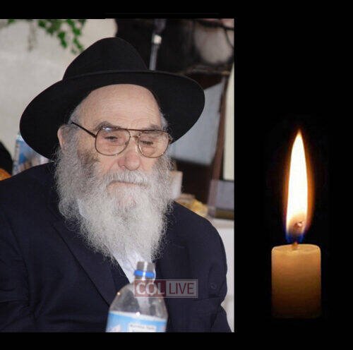 R' Leibel Mochkin, 95, OBM