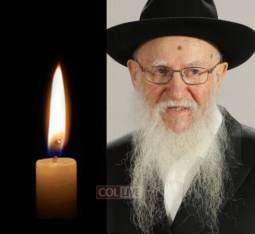 Rabbi Mordechai Olidort