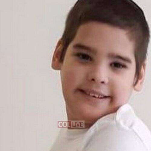 Shneur Zalman Tzadok, 9, OBM