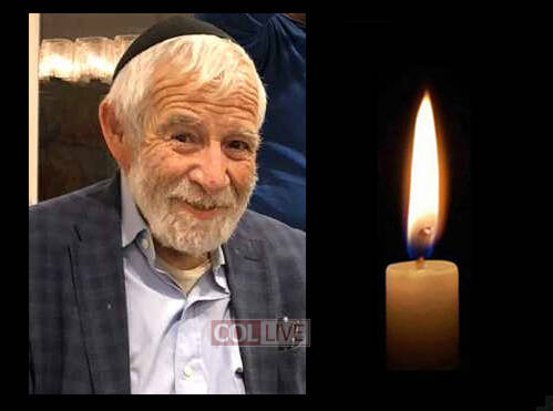 R' Efraim Dov Ber Majeski, 74, OBM