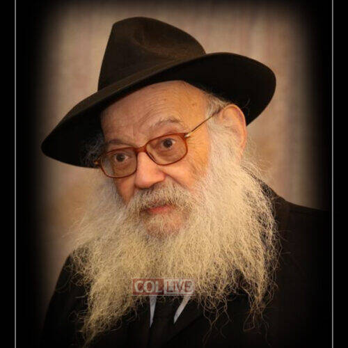 Rabbi Yehuda Leib Groner, 88, OBM