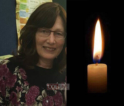 Mrs. Chaya Sara Feiga Alperovitch, 66, OBM