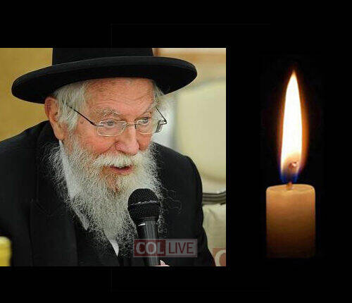 Rabbi Zalman Nechemia Goldberg, 89, OBM