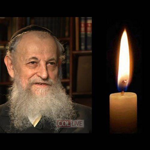 Rabbi Herschel Feigelstock, 98, OBM