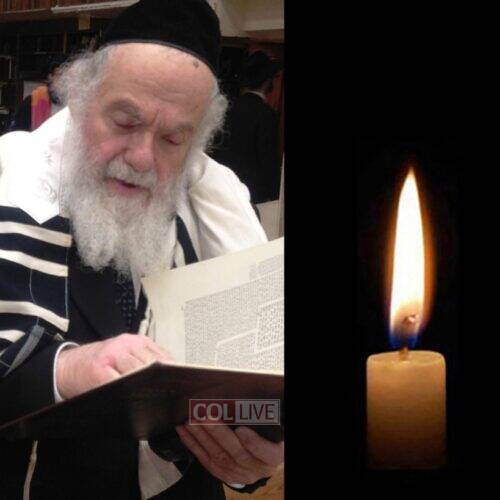 Rabbi Shalom Povarsky, 85, OBM