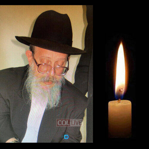 Yankel (Zaidy) Rigler, 69, OBM