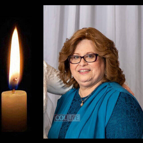 Mrs. Chaye Nechama Davidson, 71, OBM