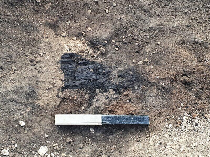 Remains of a charred wooden beam. Photo: Saar Ganor, Israel Antiquities Authority