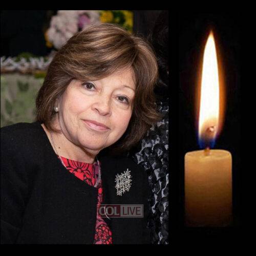Mrs. Razel Wolvovsky, 66, OBM