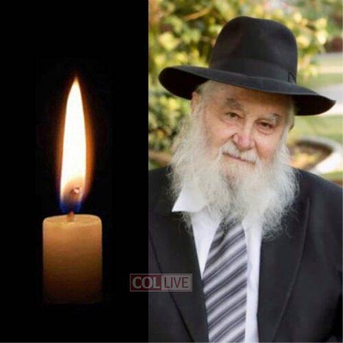 Rabbi Dovid Mishulovin, 92, OBM