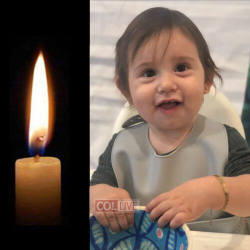 Bella Shagalov, 1, OBM