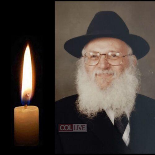 R' Dovid Lipsidge, 85, OBM