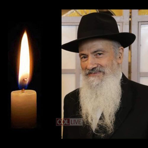 R' Eliyahu Botvinnikov, 67, OBM