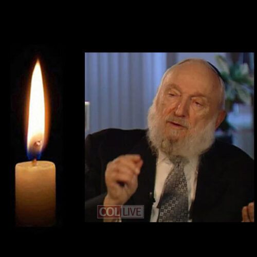 Reb Ephraim Moscowitz, 93, OBM