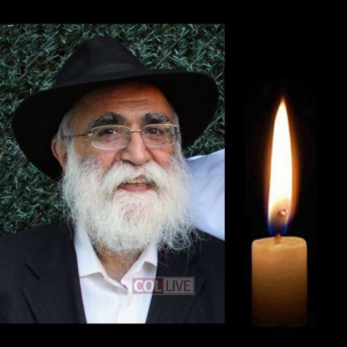 Rabbi Michoel Namdar, 67, OBM
