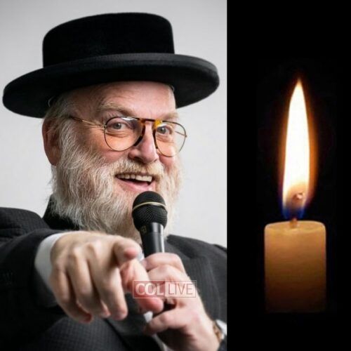 Michoel Schnitzler, 62, OBM