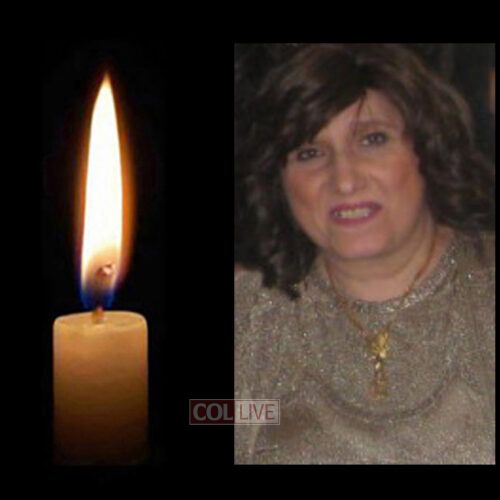 Mrs. Daniele Ehrlich, 72, OBM