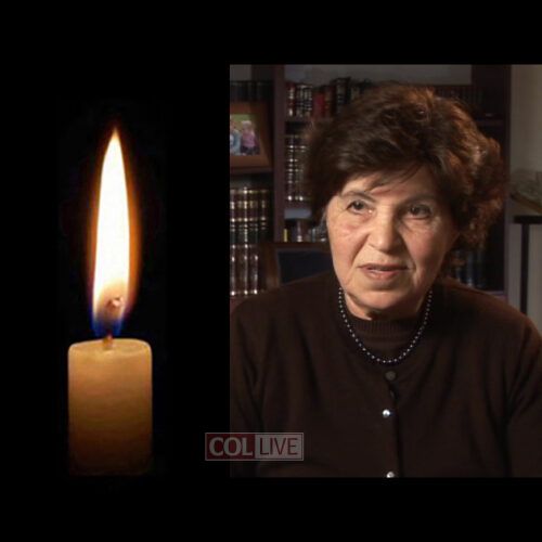 Mrs. Devorah Greenberg, 85, OBM