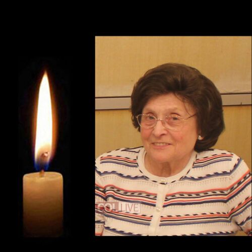 Mrs. Rivka Elyovics, 87, OBM