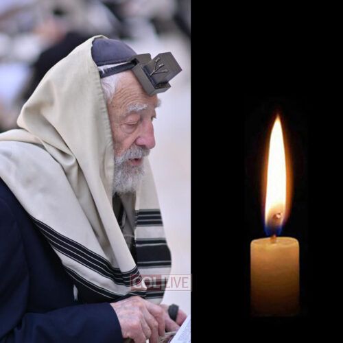 Rabbi Dovid Krasnjanski, 88, OBM