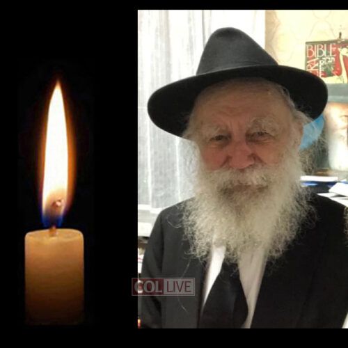 Rabbi Yaakov Eliezer Friedrich, 100, OBM