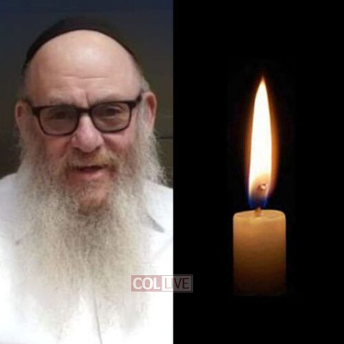 R' Levi Lando, 74, OBM