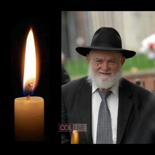 Rabbi Shalom Ber Gansburg, 86, OBM