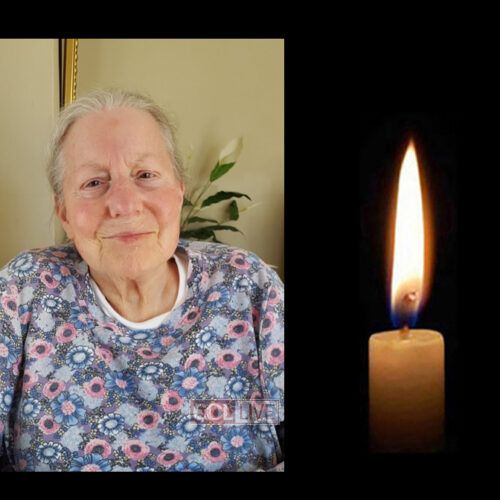 Enid Bluestein, 84, OBM