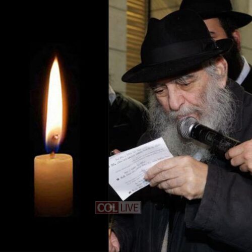 Chazan Yehoshua Danow, 81, OBM
