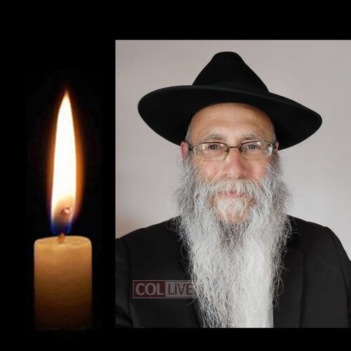 Reb Velvel Kopp, 66, OBM