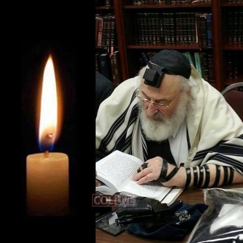 Rabbi Dovid Schochet, 91, OBM