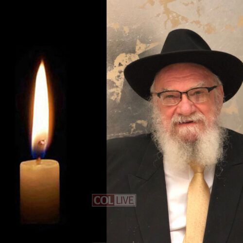 Mr. Michael Rabin, 76, OBM
