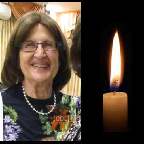 Mrs. Aviva Kahn, 88, OBM