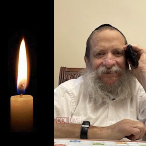 R' Reuven Woonteiler, 66, OBM