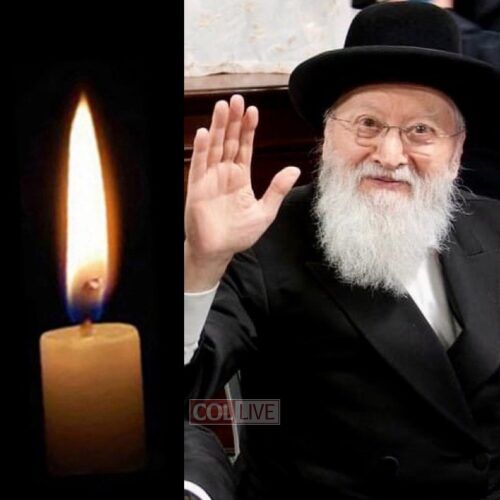 Chazan Efraim Fishel Silber, 96, OBM