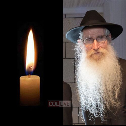 Boruch Schoenes, 75, OBM