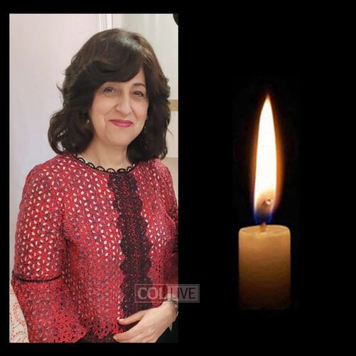 Mrs. Braindy Naparstek, 65, OBM