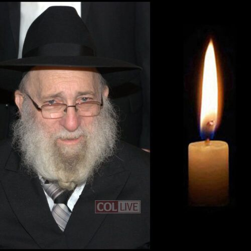 Rabbi Leib Chaim Turk, 86, OBM