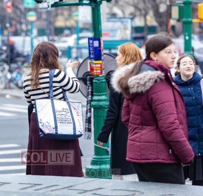 A Few Steps on Albany Avenue