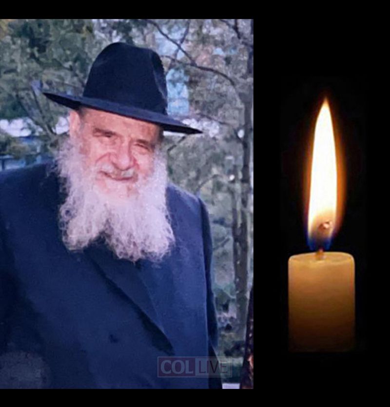 Rabbi Dr. Alter B.Z. Metzger, 92, OBM