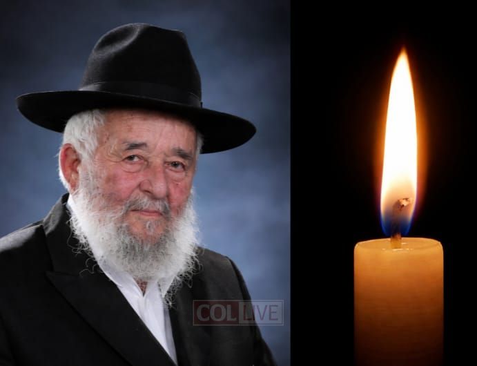 Rabbi Yechiel Yerachmiel Naparstek, 92, OBM