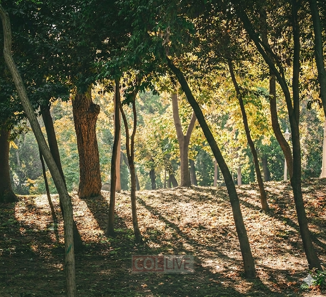 Is Breathwork a New Avodah?