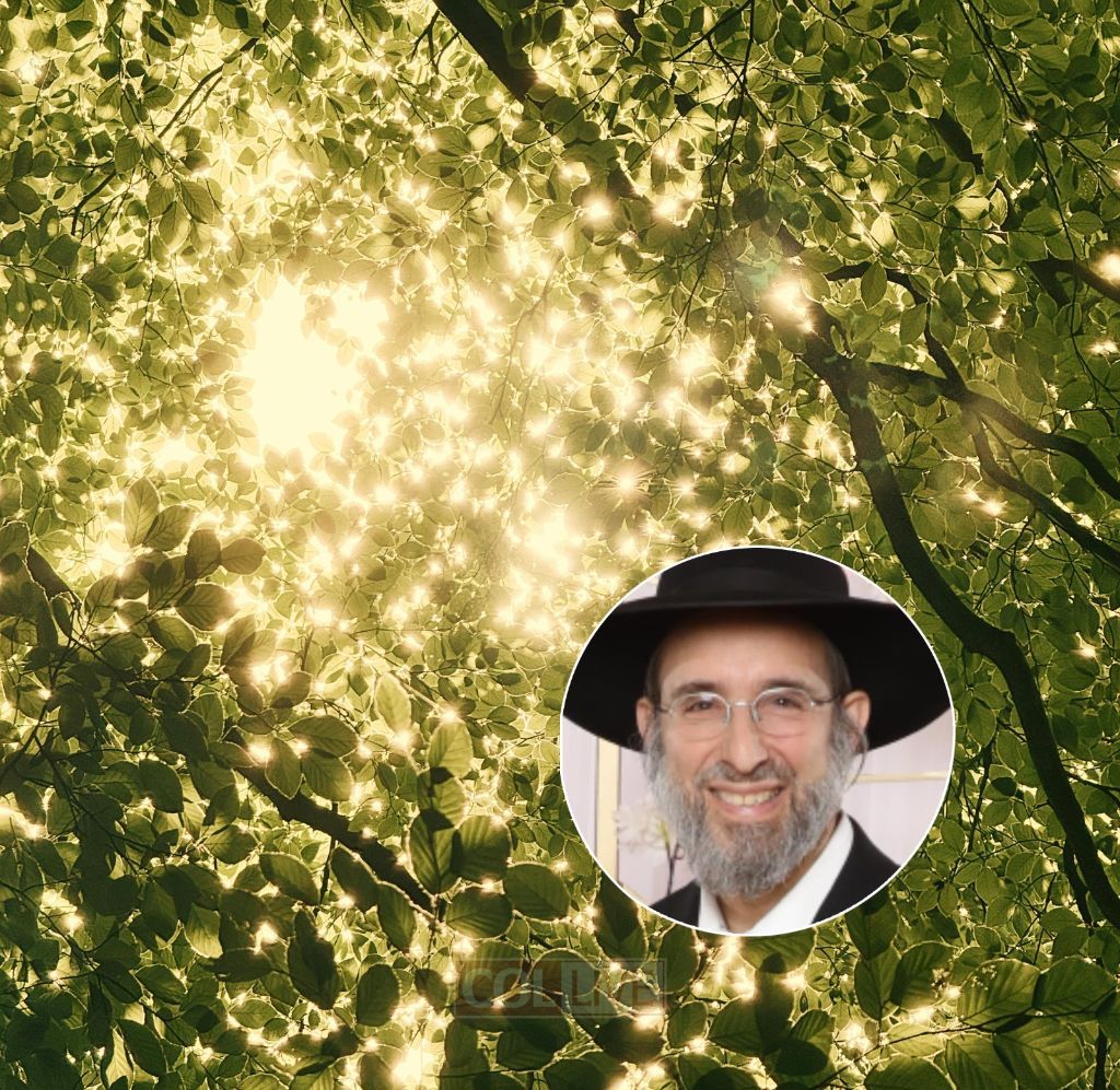 Is Breathwork Avodah Zara? Rabbi Kaganoff Speaks to COLlive