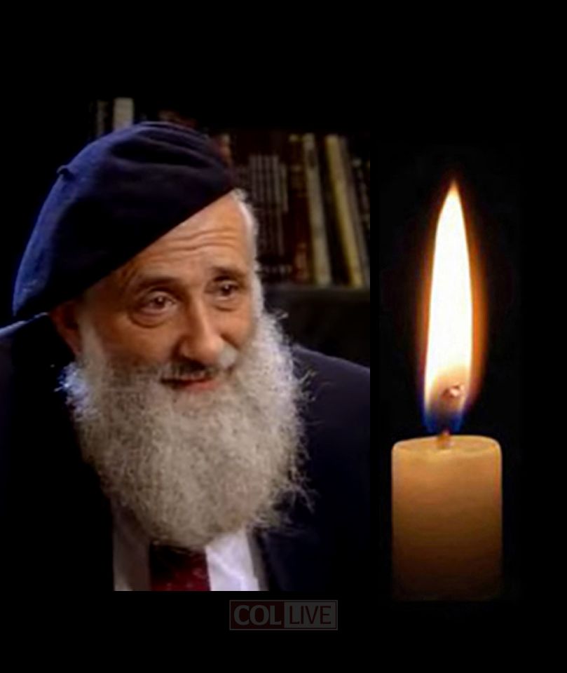 Professor Herman Branover, 94, OBM