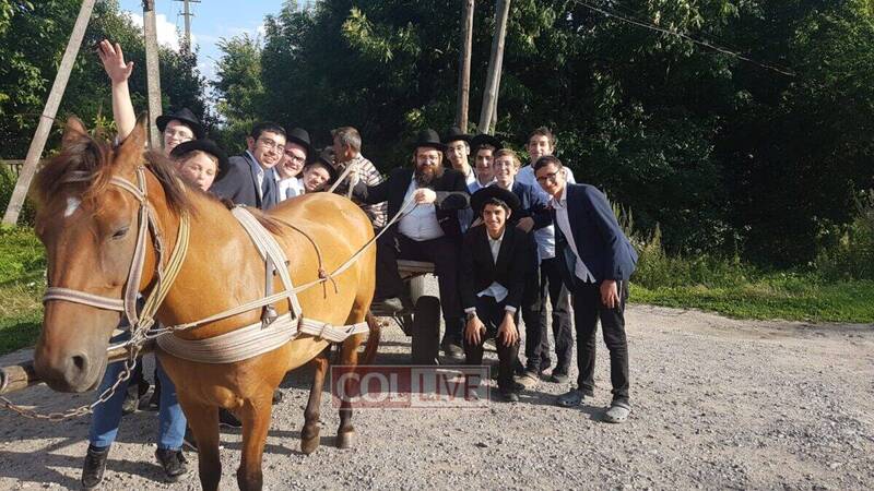 Horse Ride in Bardichov (day 8)