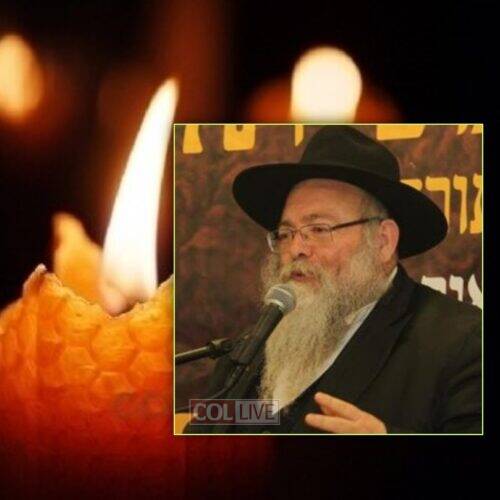 Rabbi Levi Yitzchok Ginsberg, 61, OBM