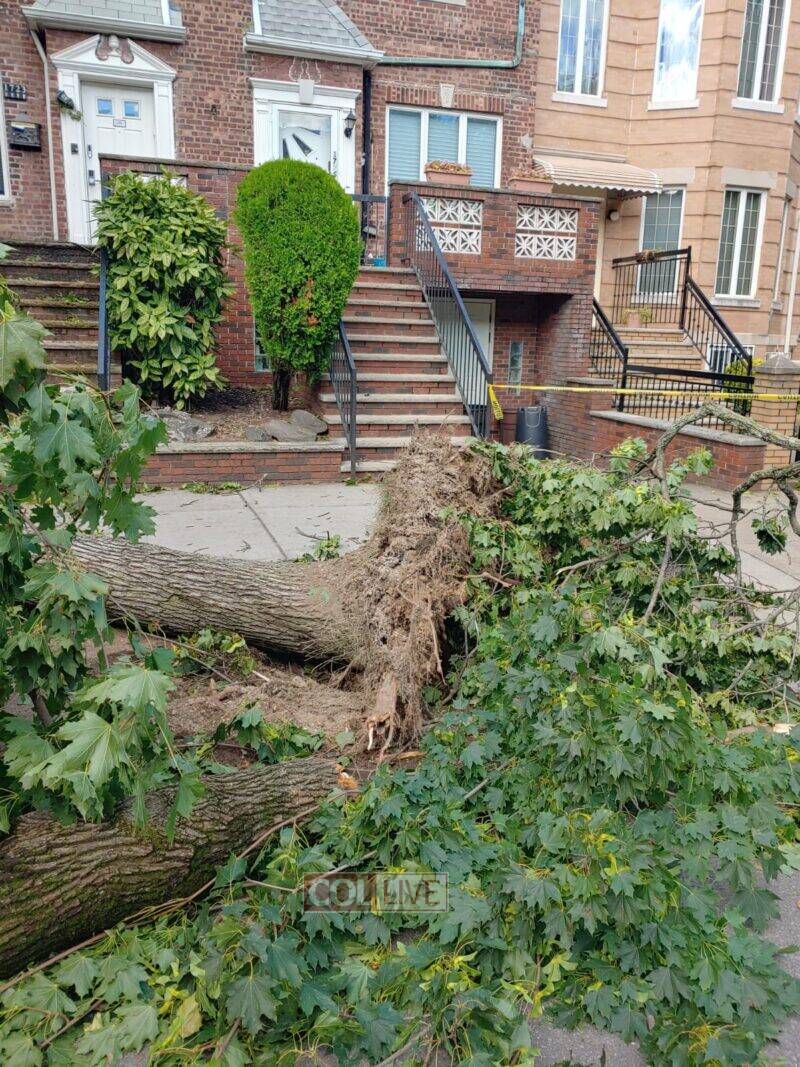 Rabbi Chaim Dalfin's home in Boro Park, Brooklyn was spared the storm's wrath, as well as his car. "My car was spared because I went to learn in Shul," he said.<br />
