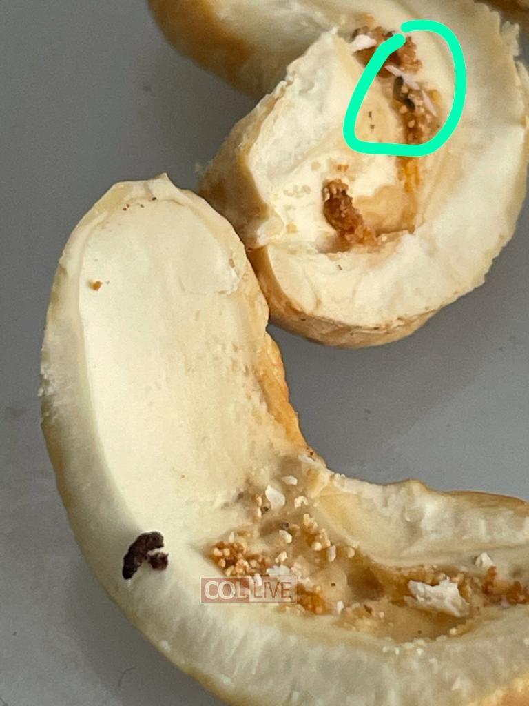 OK Says Worms Found in Cashews