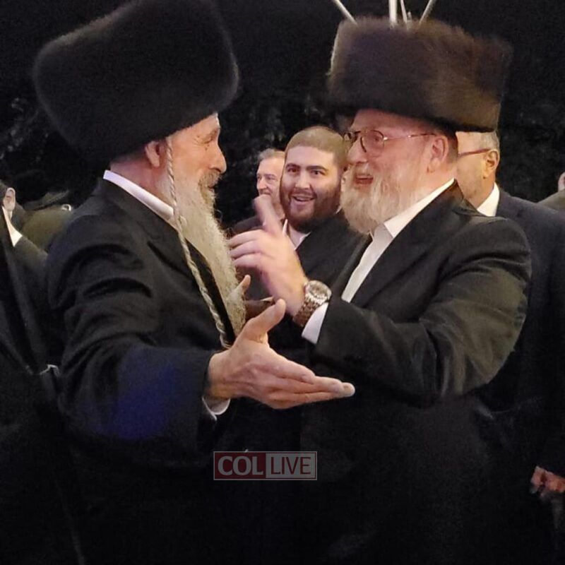 Schnitzler with Mordechai Ben David