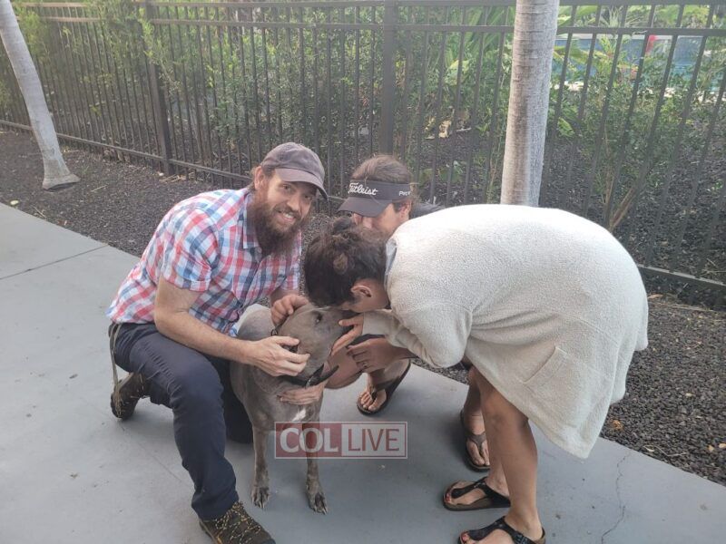 Rabbi Zirkind Reuniting a Dog with its Jewish owners.